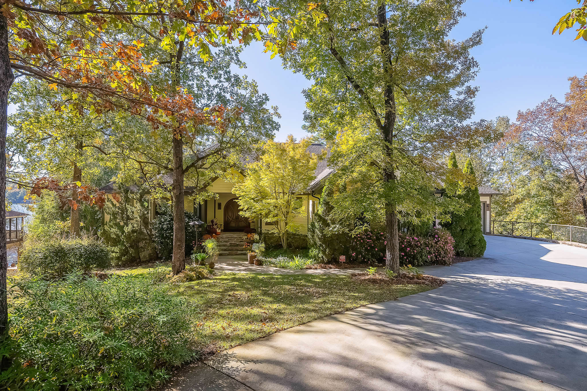81 County Road 4235
