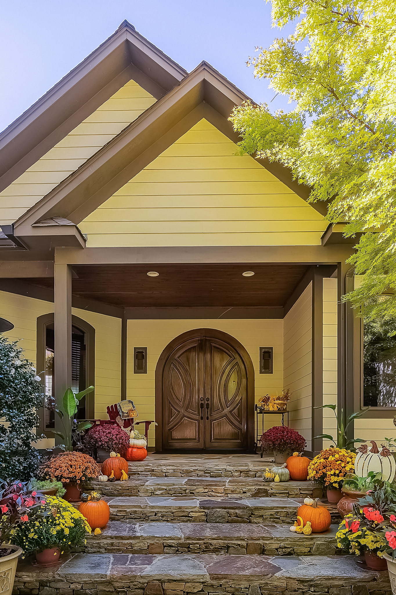 81 County Road 4235